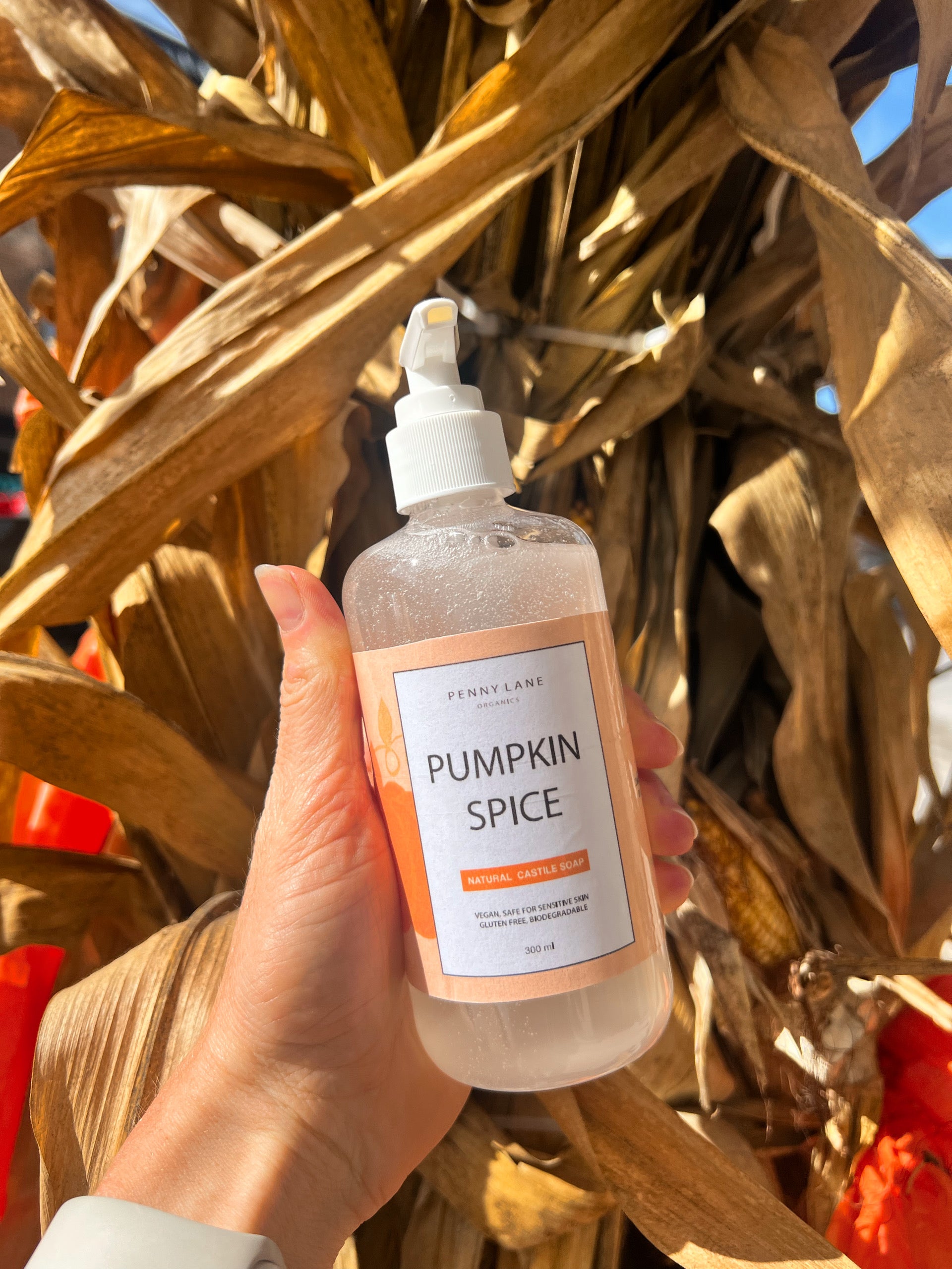 Castile Soap - Pumpkin Spice-Penny Lane Organics