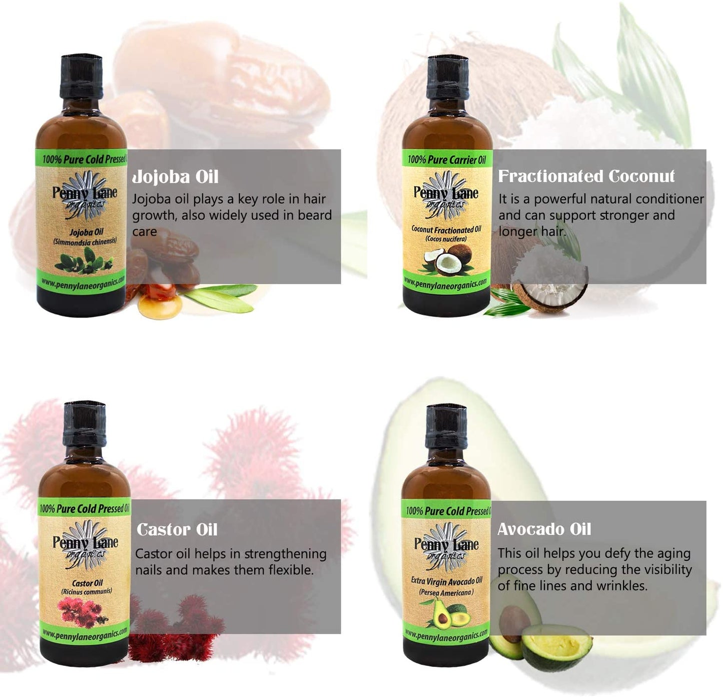 Carrier Oil 4 Pack-Penny Lane Organics