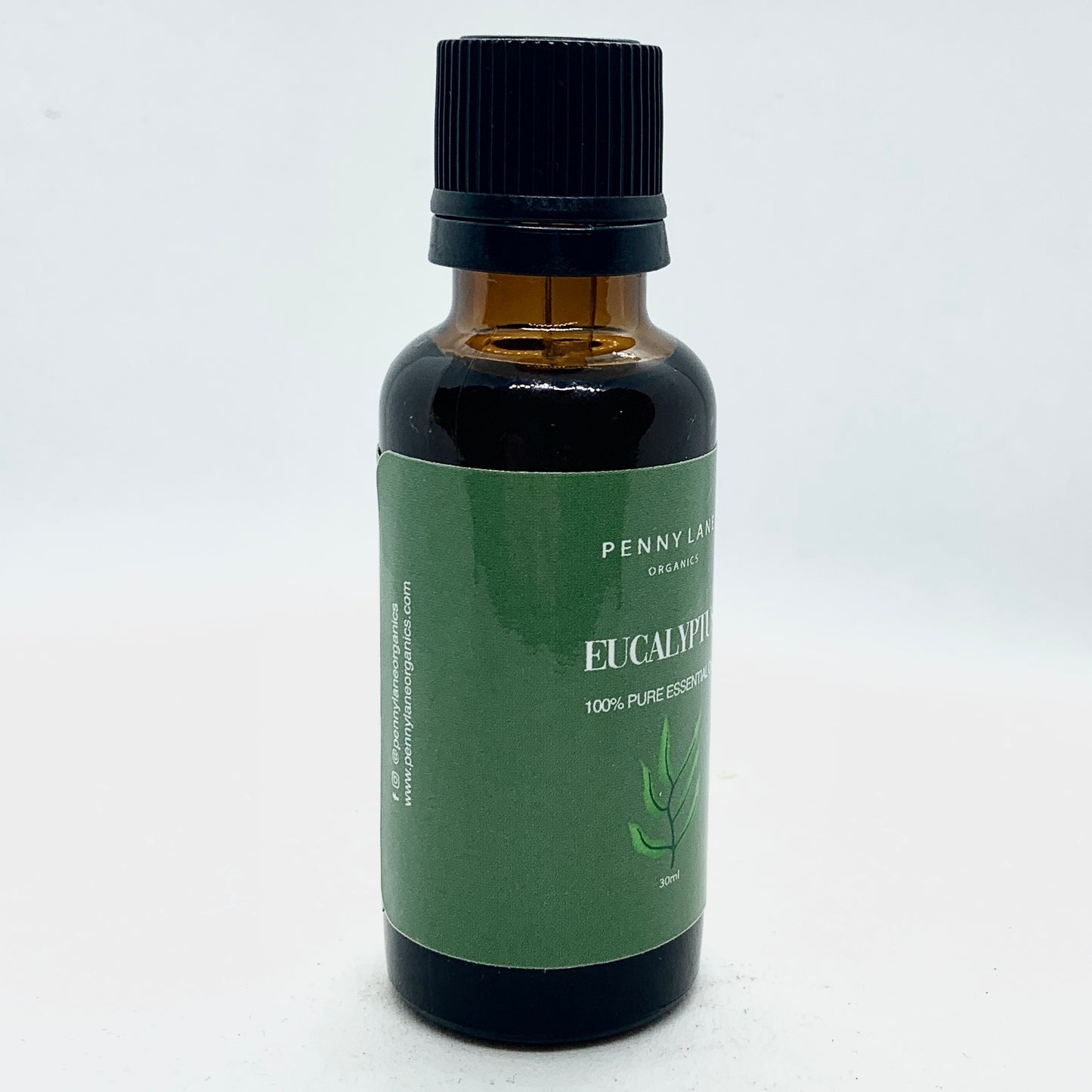 Eucalyptus Essential Oil 30 ML-Penny Lane Organics