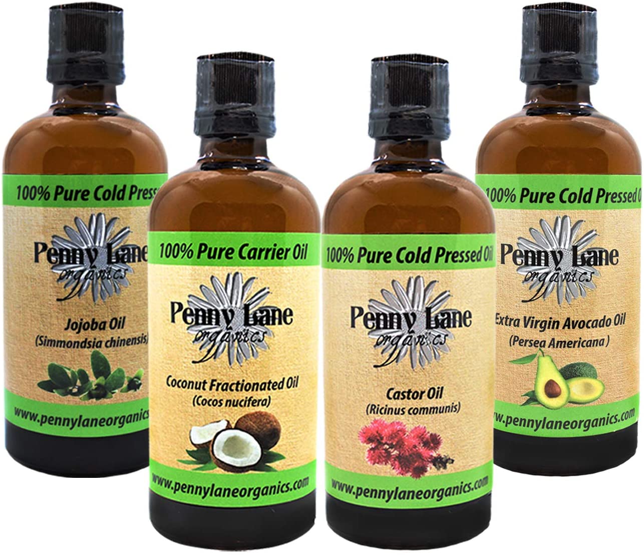 Carrier Oil 4 Pack-Penny Lane Organics