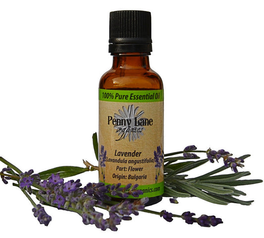 Lavender Essential Oil (old label)-Penny Lane Organics