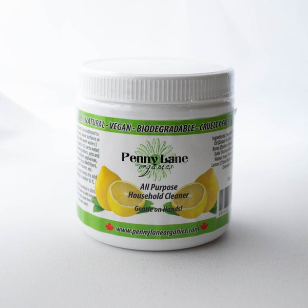 Natural All Purpose Cleaning Paste-Penny Lane Organics