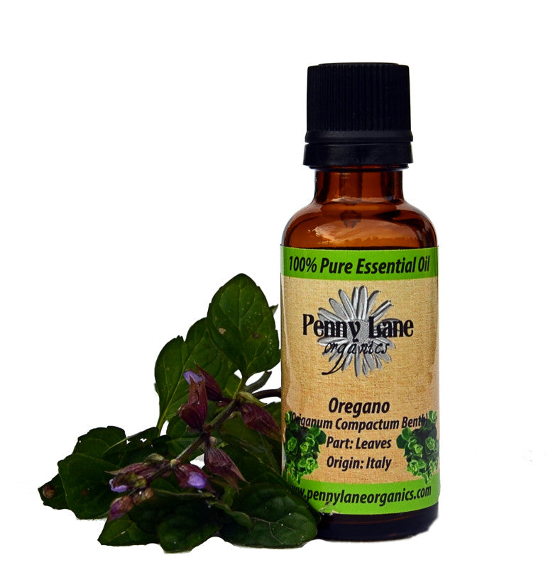 Oregano Essential Oil 30 ml-Penny Lane Organics