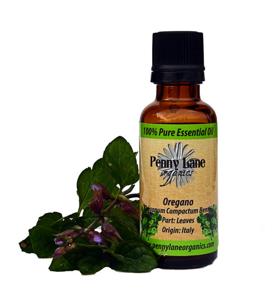 Oregano Essential Oil 30 ml-Penny Lane Organics