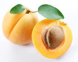 Apricot Oil - 100 Ml-Penny Lane Organics