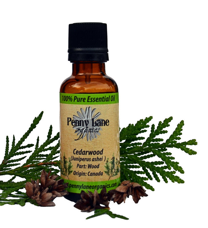 Cedarwood Essential Oil 30 ML-Penny Lane Organics