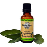 Eucalyptus Essential Oil 30 ML-Penny Lane Organics