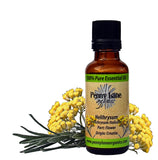 Helichrysum (Immortelle) essential oil - 15ml-Penny Lane Organics
