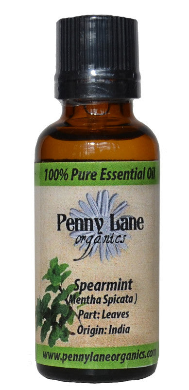 Spearmint Essential Oil 30 ml-Penny Lane Organics