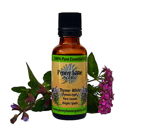 Thyme Essential Oil 30 ml-Penny Lane Organics