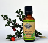Wintergreen 30ml-Penny Lane Organics